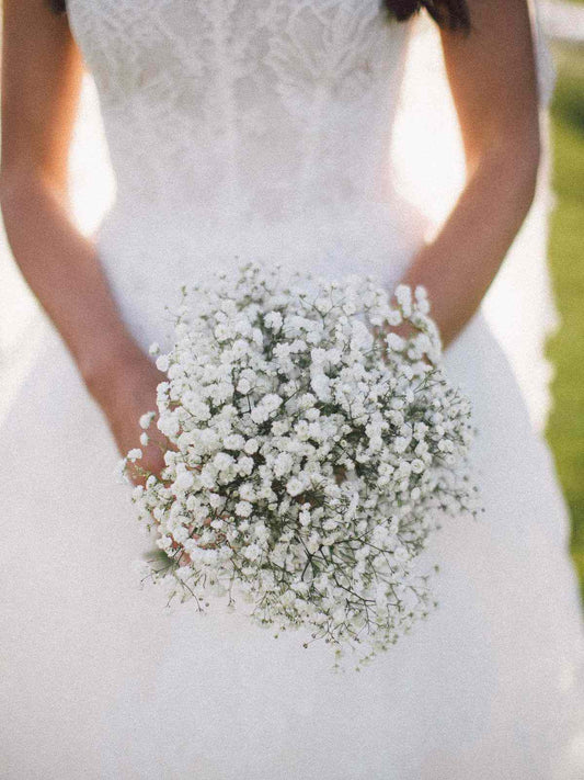 Baby's Breath Bouquet