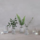 Emerald Bud Vases