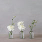 Eternal Bud Vases
