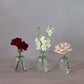Chianti Bud Vases